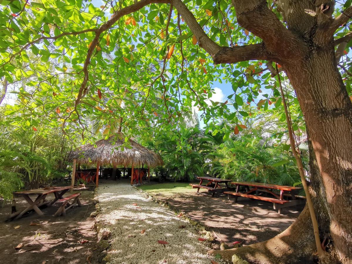 Deluxe Villas Bavaro Beach & Spa - Best Price For Long Term Vacation Rental 蓬塔卡纳 外观 照片